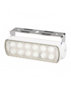 Sea Hawk LED 3 Watt