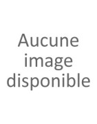Capteur de batterie intelligent (SII)