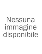 Sensore Intelligente della Batteria (IBS)