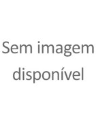 Sensor Inteligente de Bateria (IBS)